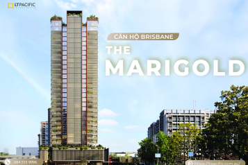 QLD | Căn hộ The Marigold